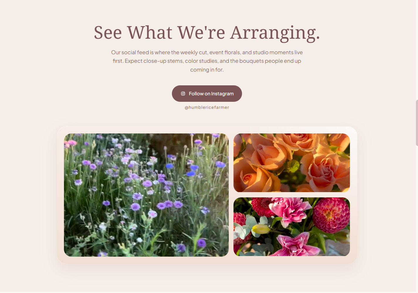 Humble Rice Farmer thumbnail 3